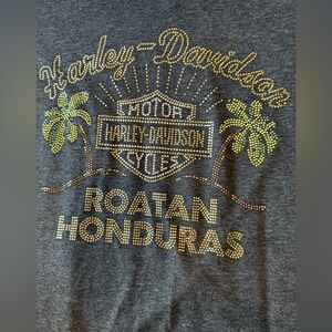 Harley-Davidson Charcoal Tee with Gold Accents